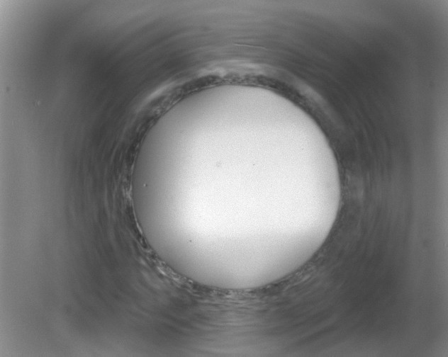 X0000083021063200702020935