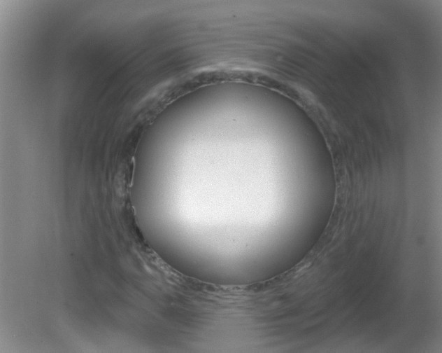 X0000083021110200702020934
