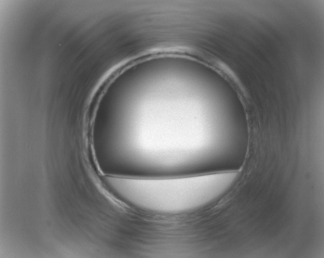 X0000083021124200702020934