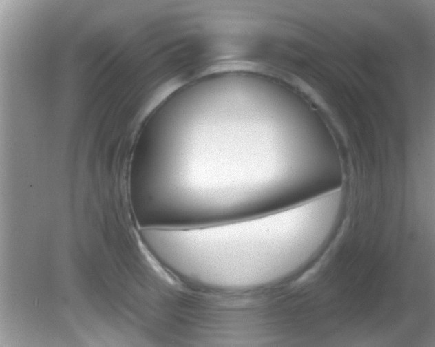 X0000083021137200702020934