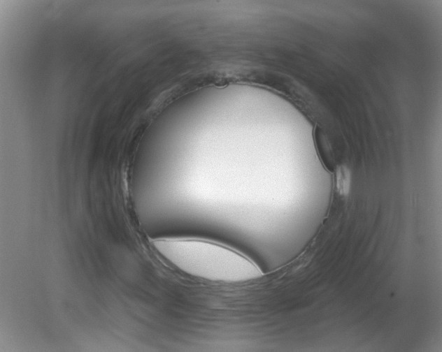 X0000083021155200702020934