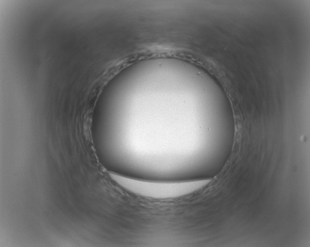 X0000083021157200702020934