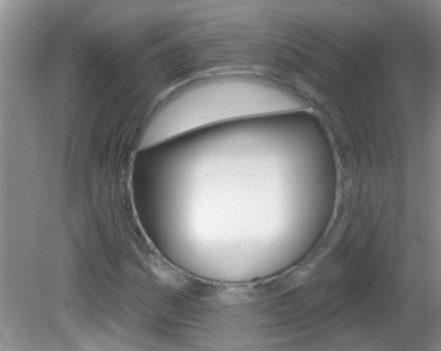 X0000083021161200702020934