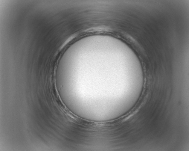 X0000083021162200702020934