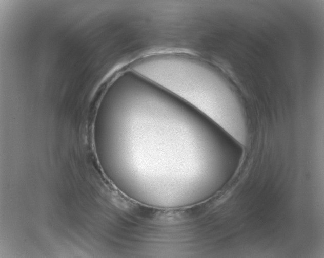 X0000083021165200702020934