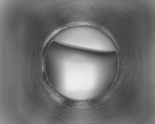 X0000083021171200702020934