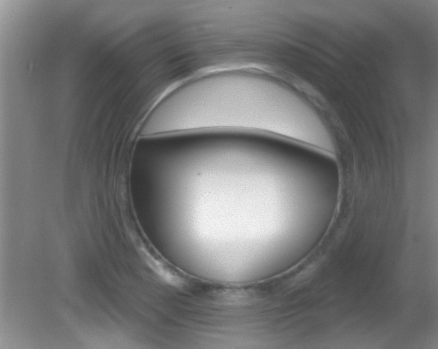 X0000083021177200702020933