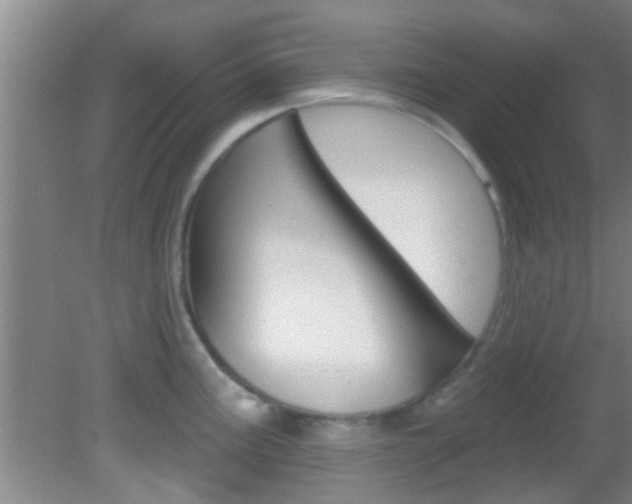 X0000083021195200702020933