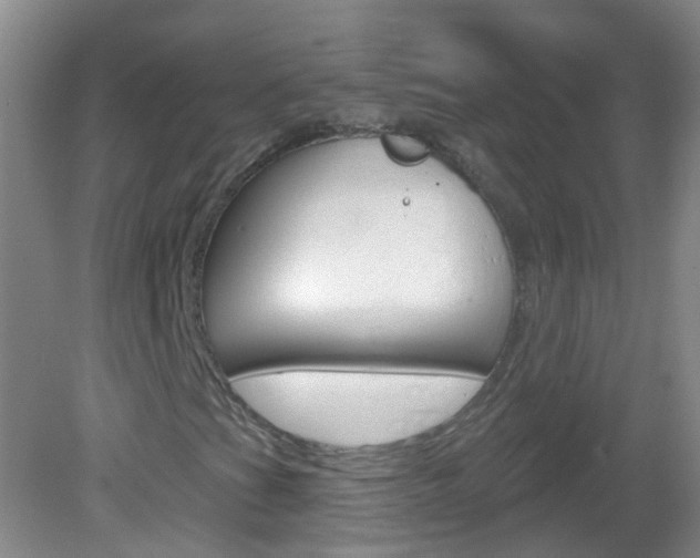 X0000083021201200702020932