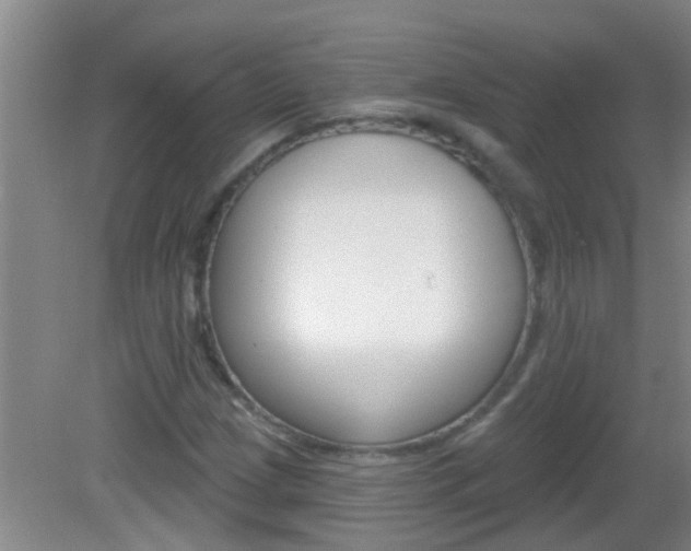 X0000083021209200702020932