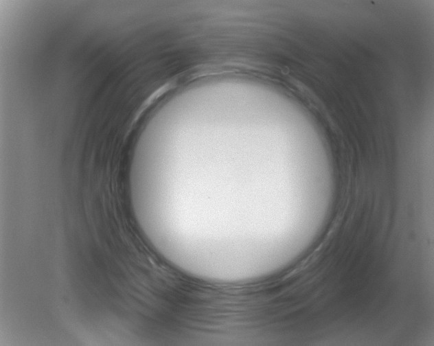 X0000083021210200702020932