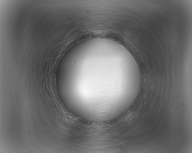 X0000083021249200702020932