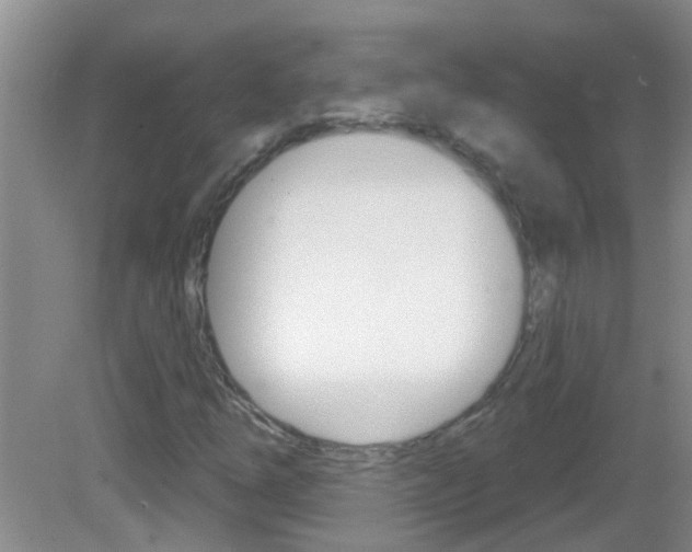 X0000083021254200702020932