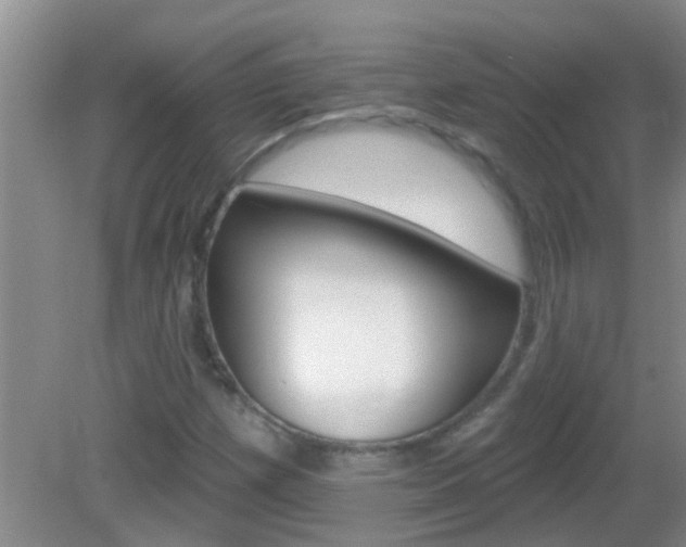 X0000083021257200702020932