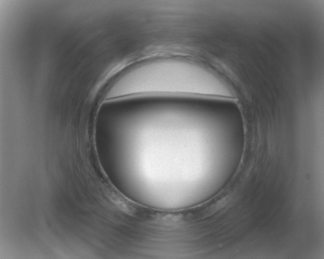 X0000083021261200702020932