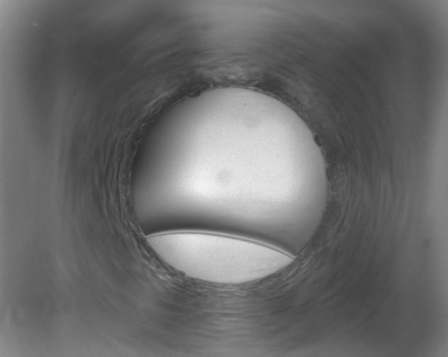 X0000083021297200702020931
