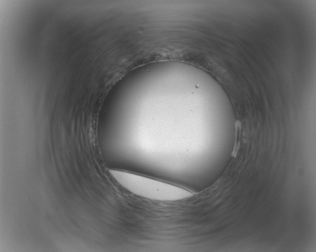 X0000083021298200702020931