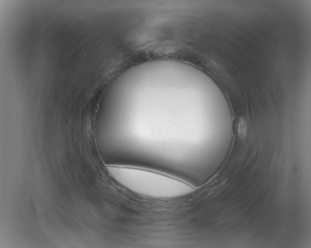 X0000083021299200702020931