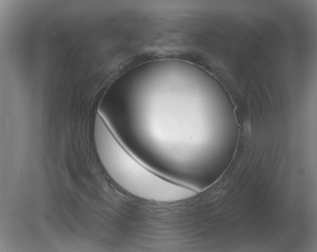 X0000083021300200702020931