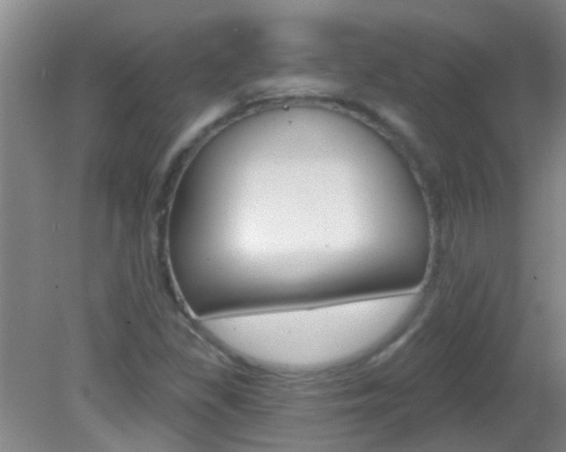 X0000083021309200702020931