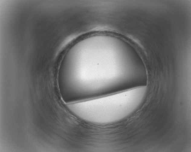 X0000083021311200702020931
