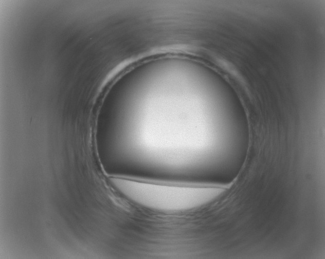 X0000083021316200702020931