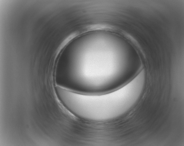 X0000083021330200702020931