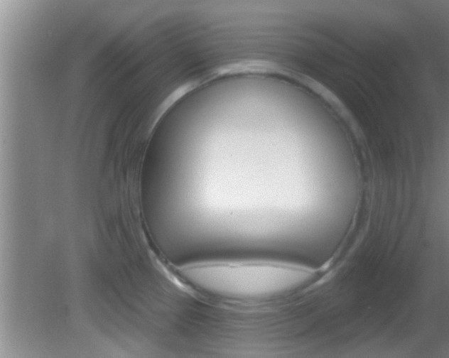 X0000083021337200702020931