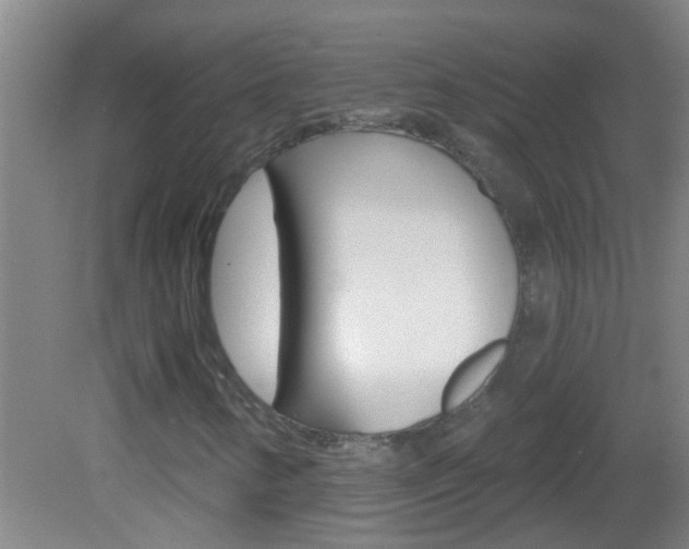 X0000083021346200702020931