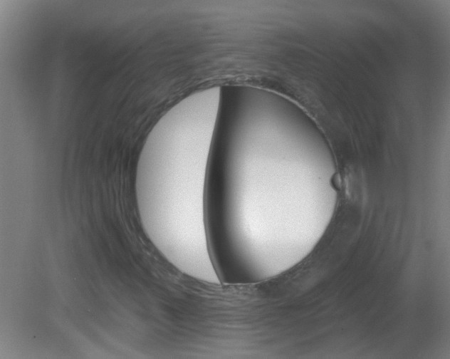 X0000083021347200702020931