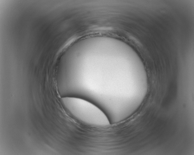 X0000083021354200702020930
