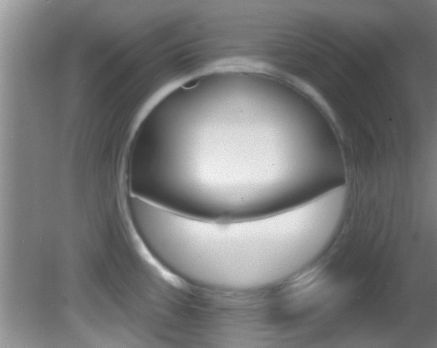 X0000083021387200702020930