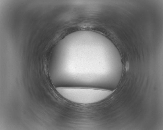 X0000083021396200702020929