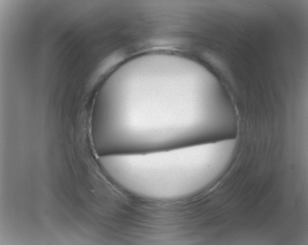 X0000083021411200702020929