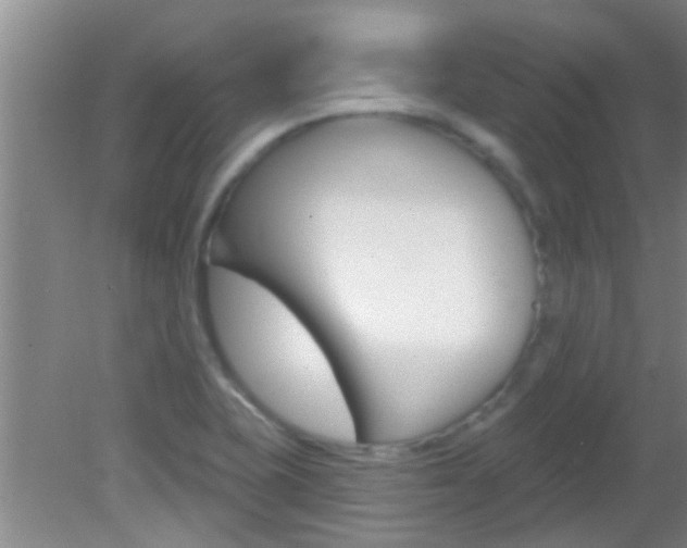 X0000083021415200702020929