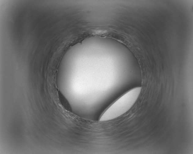 X0000083021441200702020929