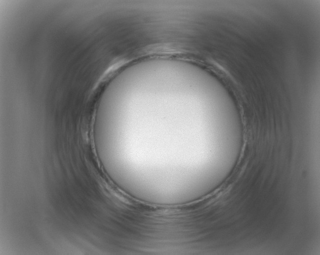 X0000083021451200702020929