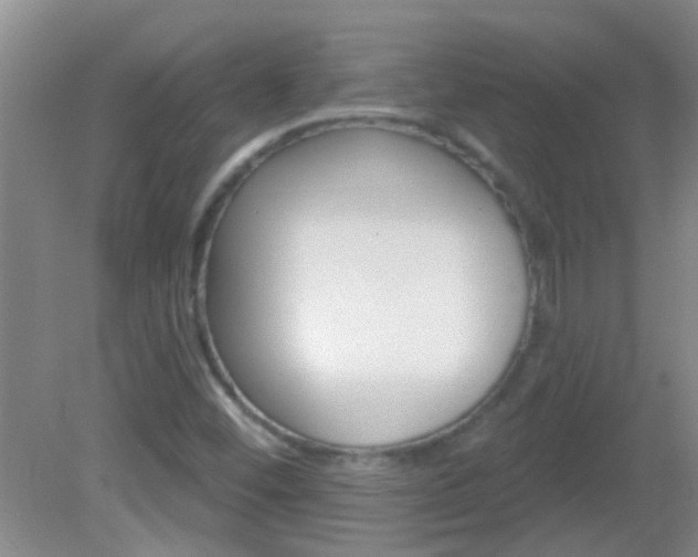X0000083021452200702020929