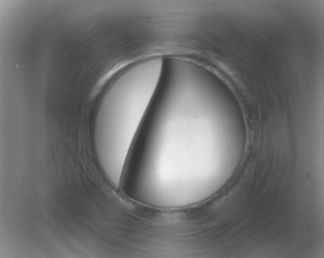 X0000083021453200702020929