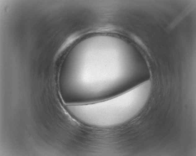 X0000083021456200702020929