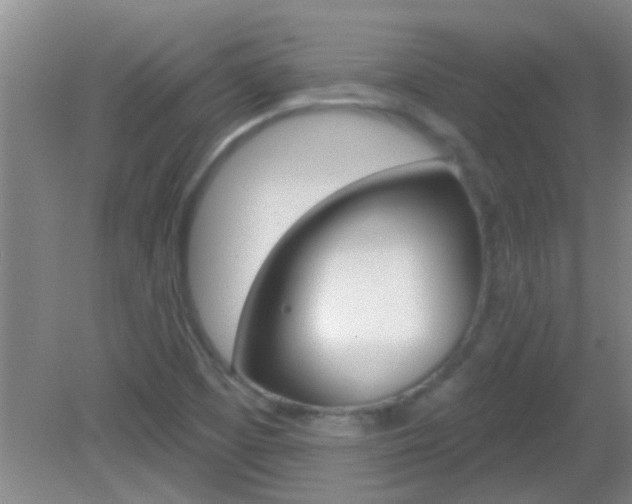 X0000083021457200702020929