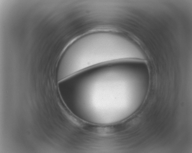 X0000083021465200702020929