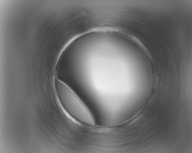 X0000083021484200702020928