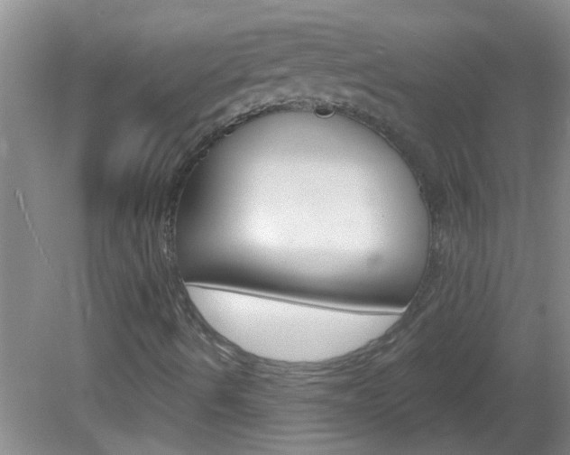 X0000083021490200702020927
