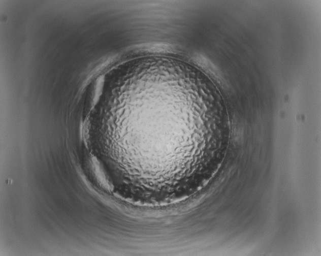 X0000083020014200702021126