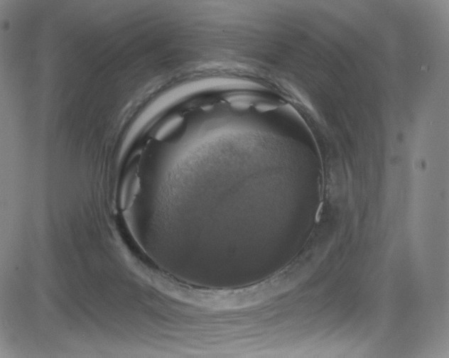 X0000083020023200702021126