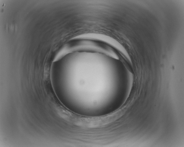 X0000083020033200702021126
