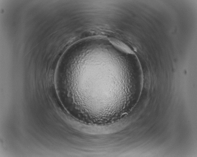 X0000083020034200702021126