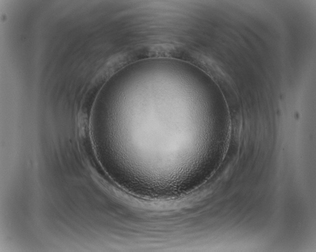 X0000083020038200702021126