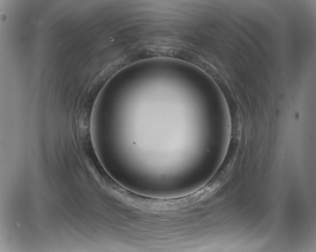 X0000083020040200702021126